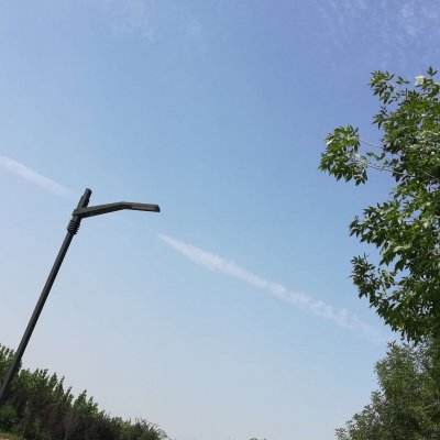 疯狂车库祖玛手机版(crazygrage)下载